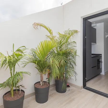 3br Portview Luxury Penthouse & Terrace Las Palmas de Gran Canaria